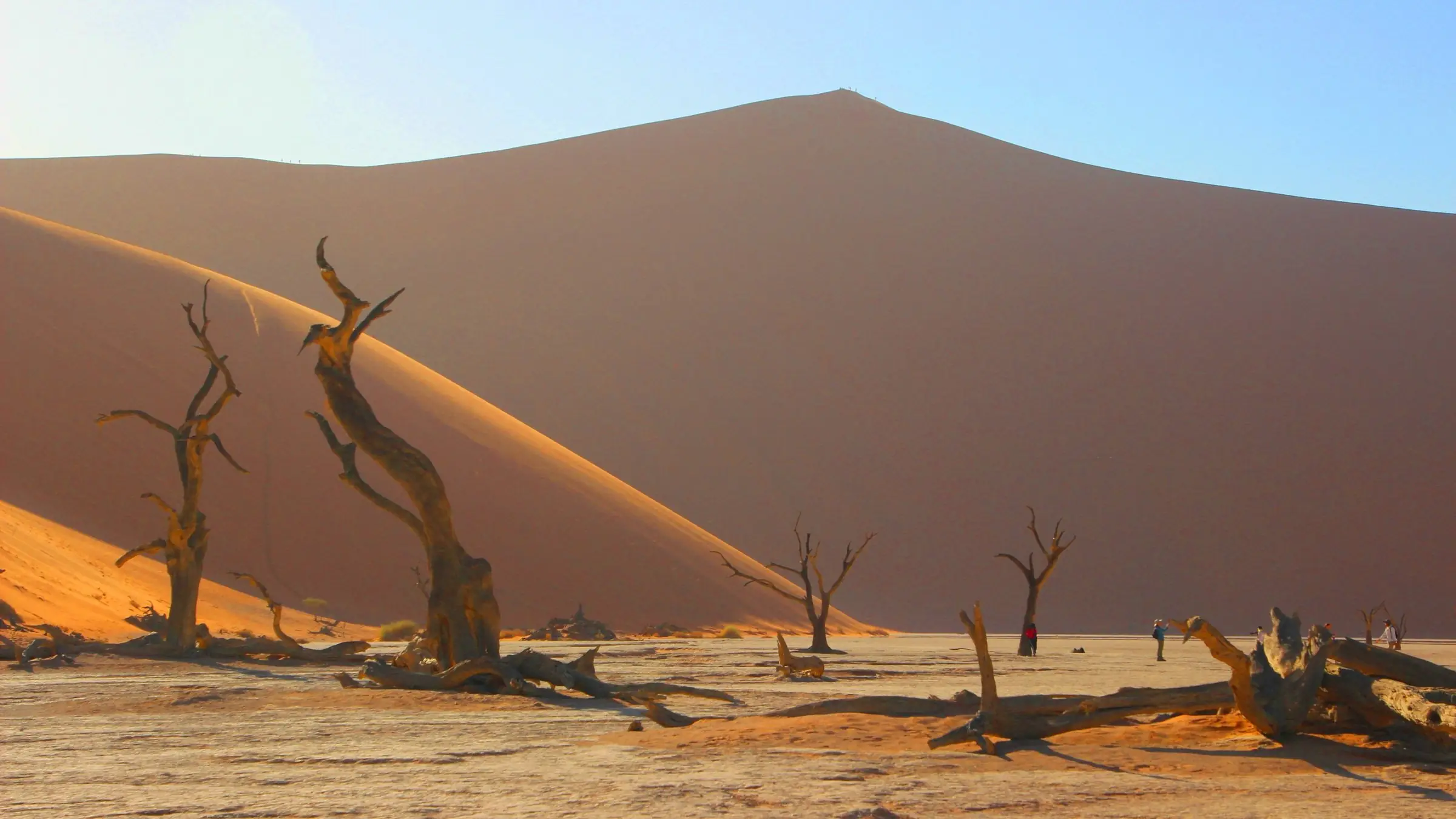 Copaci uscați în Deadvlei, sub dunele roșii de la Sossusvlei, Namibia