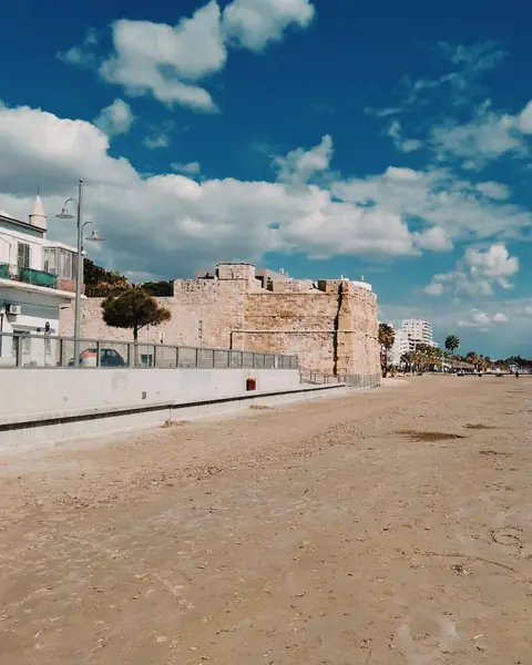 Faleza Finikoudes din Larnaca, cu palmieri, plajă și portul de iahturi