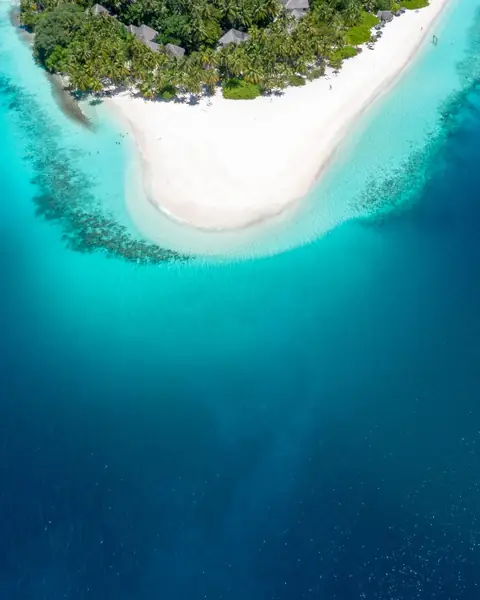 Insulă cu palmieri și plajă albă înconjurată de lagună turcoaz, văzută de sus, în Maldive