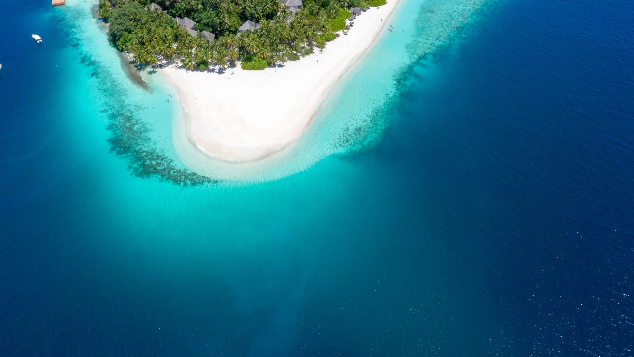 Insulă cu palmieri și plajă albă înconjurată de lagună turcoaz, văzută de sus, în Maldive
