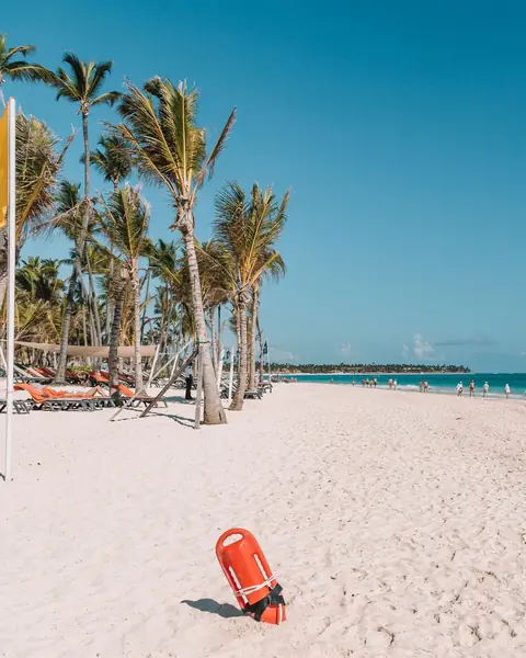Plajă cu nisip alb și palmieri în Punta Cana, lângă apa turcoaz